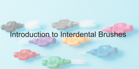 Introduction to Interdental Bushes - Video
